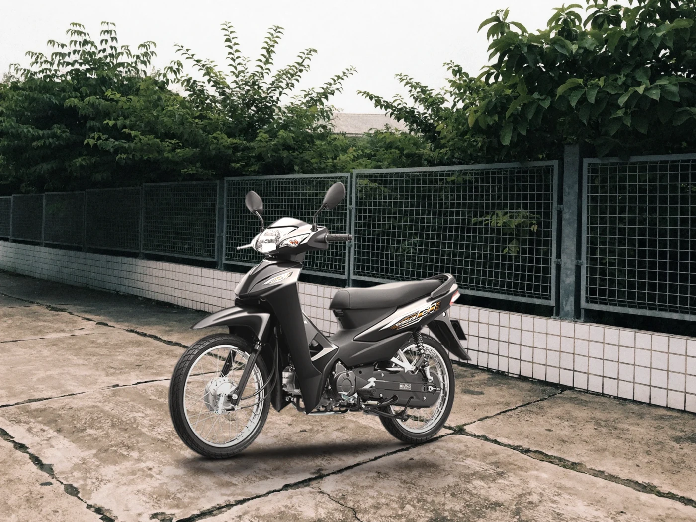 Honda Wave Alpha 110